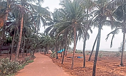 Maravanthe: ಕಗ್ಗತ್ತಲ ದಾರಿಯಲ್ಲಿ ಮೀನುಗಾರರ ಸಂಚಾರ