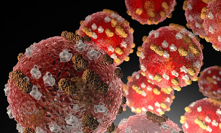 ಬಾಂಗ್ಲಾದೇಶದಲ್ಲಿ ದಡಾರ ಕಾಯಿಲೆಗೆ 96 ಮಕ್ಕಳು ಬಲಿ