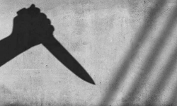 13-year-old boy attacks woman during theft attempt at her home in Thane