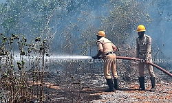 Fire breaks out from transformer spark in Shirva, houses narrowly escape damage