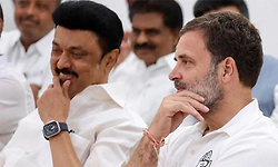 ಟಿವಿಕೆಗೆ ಕಾಂಗ್ರೆಸ್ ಬೆಂಬಲ: ಬೆನ್ನಿಗೆ ಚೂರಿ ಇರಿದಿದೆ...: ಡಿಎಂಕೆ ಆಕ್ರೋಶ