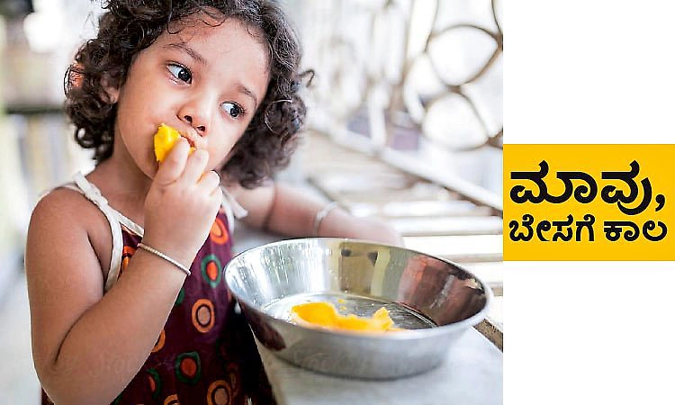 Mango Season: ಮಾವು, ಬೇಸಗೆ ಕಾಲ