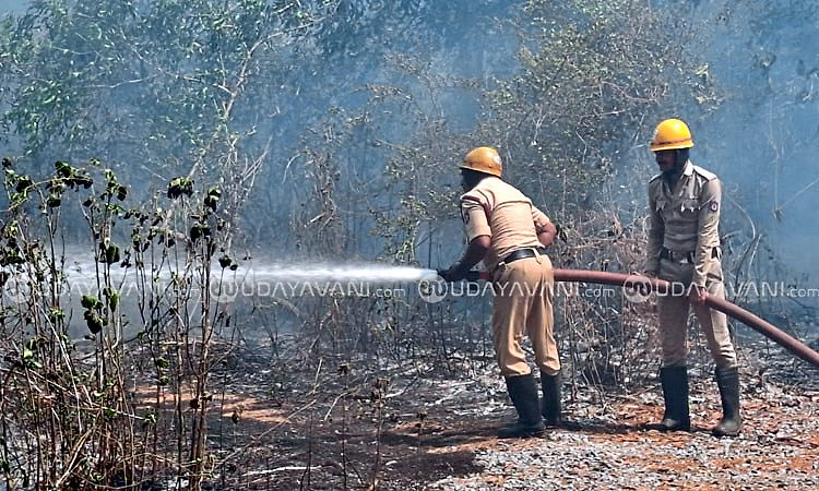 ಬಂಟಕಲ್ಲು ಪೊದಮಲೆ ಬಳಿ ಬೆಂಕಿ ಅವಘಡ... ಮರಗಿಡಗಳು ಸುಟ್ಟು ಕರಕಲು