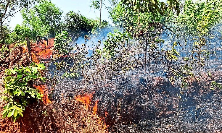 ಬಂಟಕಲ್ಲು ಪೊದಮಲೆ ಬಳಿ ಬೆಂಕಿ ಅವಘಡ