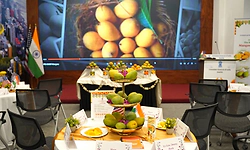 'Mango Magic'' ಅಮೆರಿಕದ ಸಿಯಾಟಲ್‌ ನಲ್ಲಿ ಭಾರತೀಯ ಮಾವು ಮೇಳ