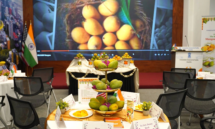 'Mango Magic'' ಅಮೆರಿಕದ ಸಿಯಾಟಲ್‌ ನಲ್ಲಿ ಭಾರತೀಯ ಮಾವು ಮೇಳ