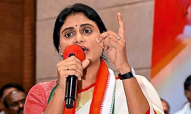 ವೈಎಸ್‌ಆರ್‌ ಪುತ್ರಿಗೆ ಕಾಂಗ್ರೆಸ್‌ ರಾಜ್ಯಸಭೆ ಟಿಕೆಟ್‌ ಕೈ ತಪ್ಪಿದ್ದೇಕೆ?