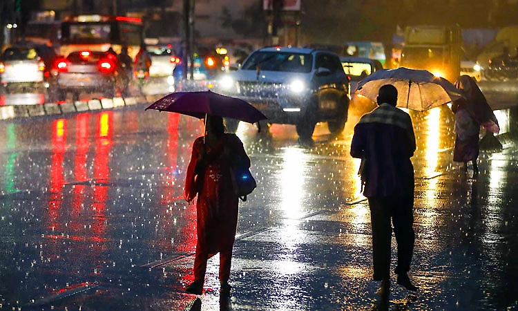 Heavy Rain: Holiday declared for schools and colleges in Hosanagara taluk on July 6