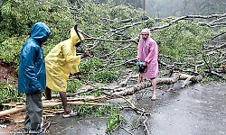 Monsoon lashes Chikkamagaluru, disrupts traffic on Charmadi Ghat