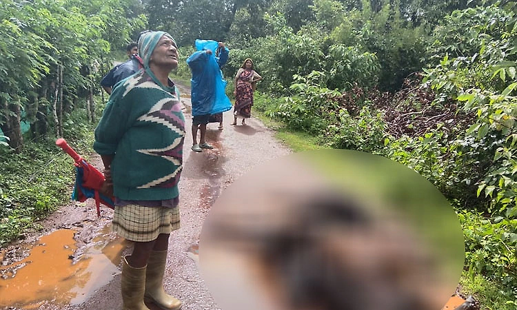 Three cattle electrocuted after electric pole gets live near Anandapura; bikers escape narrowly