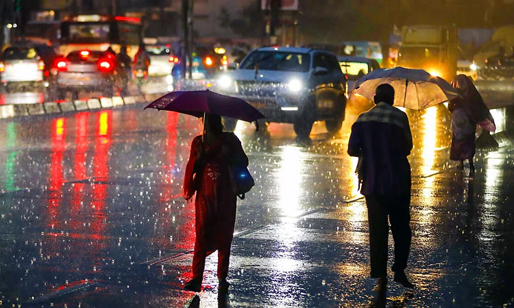 Heavy Rain: ಜುಲೈ 6 ರಂದು ಹೊಸನಗರ ತಾಲೂಕಿನ ಶಾಲಾ-ಕಾಲೇಜುಗಳಿಗೆ ರಜೆ