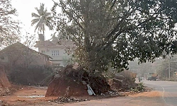 ರಾ.ಹೆದ್ದಾರಿ ಬಳಿ ಅಪಾಯದ ಸ್ಥಿತಿಯಲ್ಲಿ ವಾಲಿನಿಂತ ಮರ: ತೆರವುಗೊಳಿಸಲು ಸಾರ್ವಜನಿಕರ ಆಗ್ರಹ!