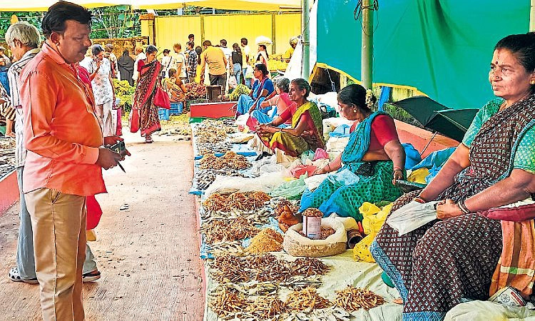 Malpe: ತಾಜಾ ಮೀನು ಕೊರತೆ, ಒಣ ಮೀನಿಗೆ ಬೇಡಿಕೆ