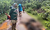 ಆನಂದಪುರ: ವಿದ್ಯುತ್ ಸ್ಪರ್ಶಿಸಿ ಮೂರು ಜಾನುವಾರುಗಳು ಸಾವು; ಬೈಕ್ ಸವಾರರು ಅದೃಷ್ಟವಶಾತ್ ಪಾರು!