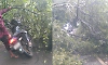 Chikkamagaluru: Rider has narrow escape as tree falls on bike