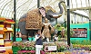 CM inaugurates Lalbagh flower show; Ganga dynasty's grandeur on display