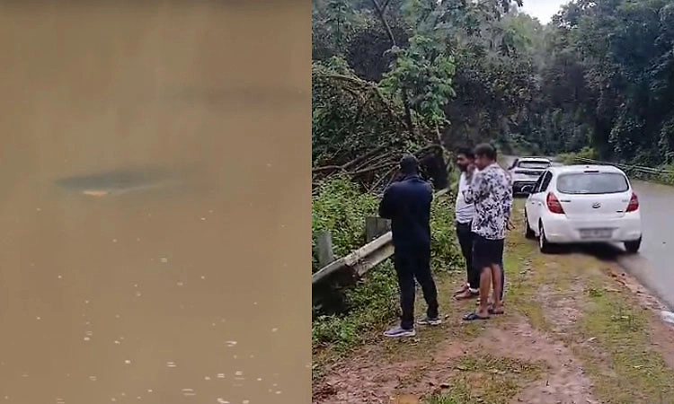 ತೀರ್ಥಹಳ್ಳಿ: ಚಾಲಕನ ನಿಯಂತ್ರಣ ತಪ್ಪಿ ಕೆರೆಗೆ ಬಿದ್ದ ಕಾರು...! ಪ್ರಯಾಣಿಕರು ಪಾರು