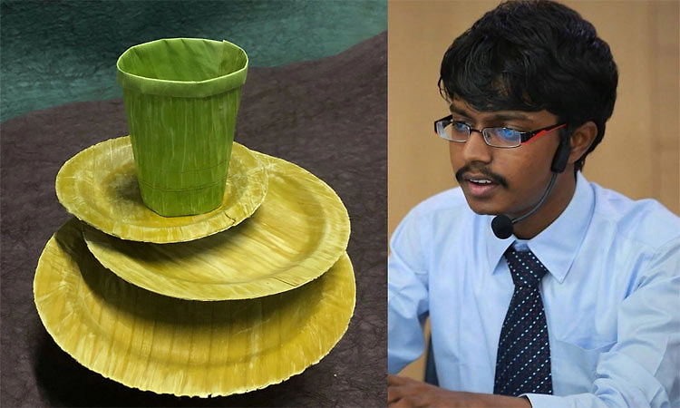 Banana Leaf: ಬಾಳೆ ಎಲೆಗಳನ್ನು ಒಂದು ವರ್ಷದವೆರೆಗೆ ತಾಜಾ ಇರುವಂತೆ ರಕ್ಷಿಸಬಹುದು!