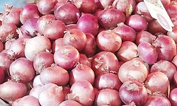 ಬೆಲೆ ಇಳಿಸಲು 10 ದಿನದಲ್ಲಿ 4000 ಟನ್‌ ಈರುಳ್ಳಿ ಸೇಲ್