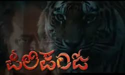 TuluMovie: ಹುಲಿಹೆಜ್ಜೆಯ ಜಾಡು ಹಿಡಿಯುತ್ತಾ… ಥ್ರಿಲ್ಲರ್‌ ʼಪಿಲಿಪಂಜʼದಿಂದ ಮತ್ತೊಂದು ಟೀಸರ್‌