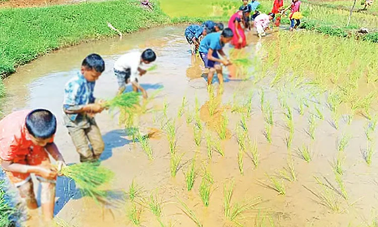Karnataka plans farm visits, village stays for school students