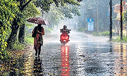 ಮುದ ನೀಡಿದ ಮುಂಜಾನೆ ಮಳೆ!