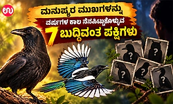 ಮನುಷ್ಯರ ಮುಖಗಳನ್ನು ವರ್ಷಗಳ ಕಾಲ ನೆನಪಿಟ್ಟುಕೊಳ್ಳುವ 7 ಬುದ್ಧಿವಂತ ಪಕ್ಷಿಗಳು