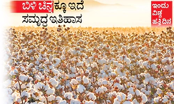 ಇಂದು ವಿಶ್ವ ಹತ್ತಿ ದಿನ: ಬಿಳಿ ಚಿನ್ನ ಕ್ಕೂ ಇದೆ ಸಮೃದ್ಧ ಇತಿಹಾಸ