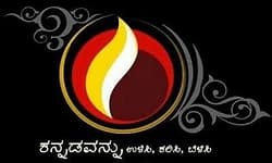 Rajyotsava: ಕನ್ನಡದ ಏಳಿಗೆಗೆ ಸರ್ಕಾರ ಮತ್ತು ಕನ್ನಡ ಸಾಹಿತ್ಯ ಸಂಘಗಳು ಸಕ್ರಿಯವಾಗಬೇಕು...