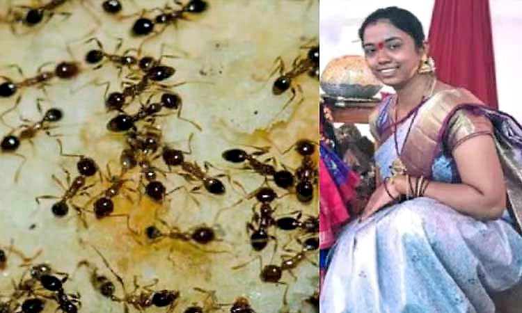 ತೆಲಂಗಾಣ: ಇರುವೆಗಳ ಮೇಲಿನ ಭಯದಿಂದ ಯುವತಿ ಆತ್ಮಹತ್ಯೆ