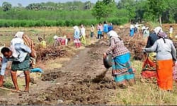 ನರೇಗಾ ಉದ್ಯೋಗ ಚೀಟಿಗೆ ಈಗ ಆಧಾರ್‌ ಲಿಂಕ್‌ ಕಡ್ಡಾಯ