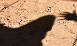 UP:Man accused of raping 3-year-old girl arrested after police encounter in Amroha