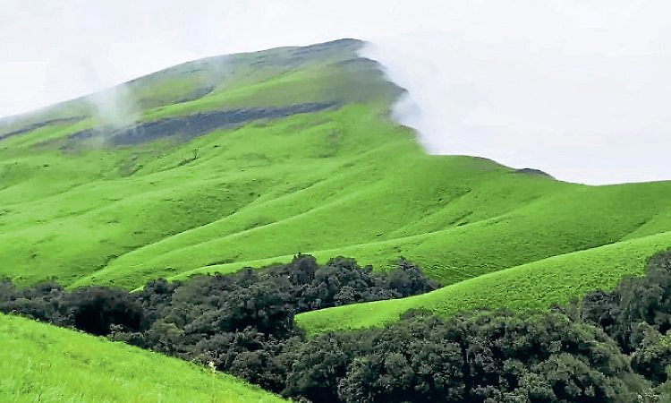 Mangaluru: ಜನಪ್ರಿಯ ಚಾರಣಗಳ ಪಟ್ಟಿ; ಅಗ್ರಸ್ಥಾನದಲ್ಲಿ ನೇತ್ರಾವತಿ ಪೀಕ್‌