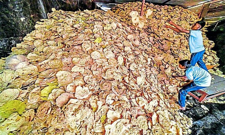 ಕೊಪ್ಪಳದ ಶ್ರೀ ಗವಿಸಿದ್ದೇಶ್ವರ ಜಾತ್ರಾ ಮಹೋತ್ಸವ: ರೊಟ್ಟಿ-ಸಿಹಿ ಸವಿರುಚಿ ಸವಿದ ಸದ್ಭ‌ಕ್ತರು