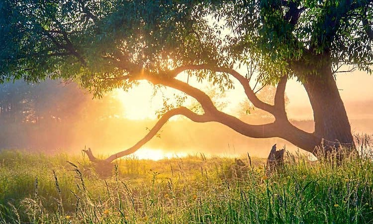 Nature: ಪ್ರಕೃತಿ ಕಾಳಜಿ ನಮ್ಮೆಲ್ಲರ ಕರ್ತವ್ಯ