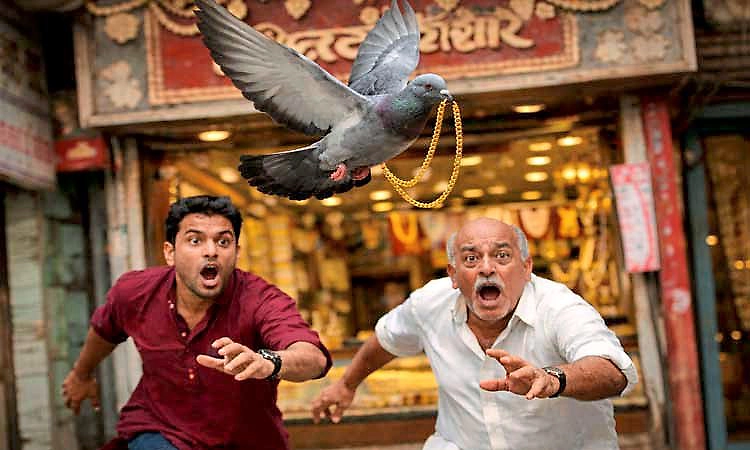 Video: ಚಿನ್ನದಂಗಡಿಯಿಂದ 1ಲಕ್ಷ ಮೌಲ್ಯದ ಚಿನ್ನದ ಸರ ಹೊತ್ತೊಯ್ದ ಪಾರಿವಾಳ... ಕಂಗಾಲಾದ ಮಾಲೀಕ