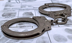 ಕಾಡಿನಲ್ಲಿ ಬೇಟೆ : ಮೂವರ ಬಂಧನ, ಕಾಡುಹಂದಿ, ಬಂದೂಕು, ಗುಂಡು, ವ್ಯಾನ್‌ ವಶಕ್ಕೆ