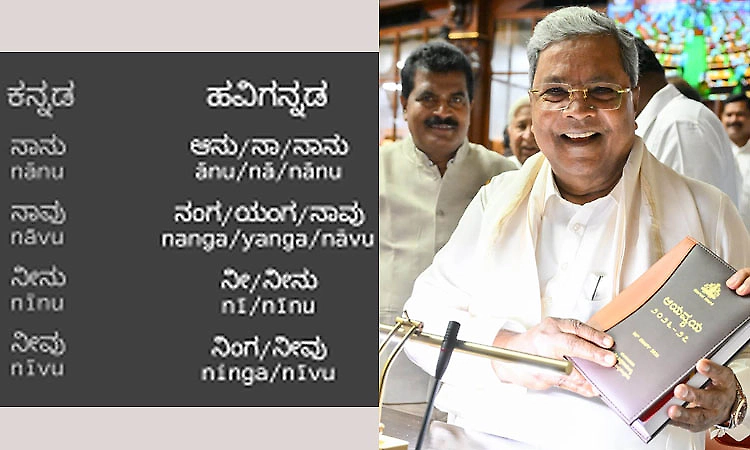Karnataka budget: CM announces establishment of Havyaka language academy