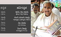 ಬಜೆಟ್‌ನಲ್ಲಿ ಹವ್ಯಕ ಭಾಷಾ ಅಕಾಡೆಮಿ ಸ್ಥಾಪನೆ ಘೋಷಿಸಿದ ಸಿಎಂ