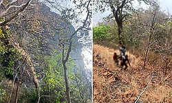 Yellapura: ಜೇನುಕಲ್ಲು ಗುಡ್ಡದಿಂದ ಪ್ರಪಾತಕ್ಕೆ ಜಿಗಿದು ವ್ಯಕ್ತಿ ಆತ್ಮಹತ್ಯೆ