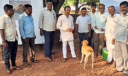 ಬೀದಿ ನಾಯಿಗಳಿಗೆ ಆಶ್ರಯ ತಾಣ ನಿರ್ಮಾಣ: ರಾಜ್ಯದಲ್ಲಿಯೇ ಕುಳಗೇರಿ ಗ್ರಾ.ಪಂ. ಪ್ರಥಮ ಪ್ರಯತ್ನ