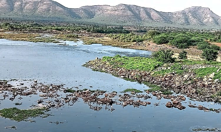 Aranthodu: ನದಿಯಲ್ಲಿ ಮಾಂಸ ತ್ಯಾಜ್ಯ ಪತ್ತೆ