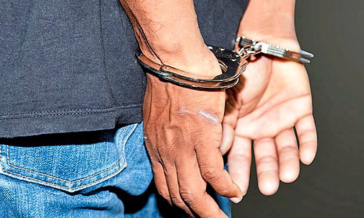 Thane: 38 ಲಕ್ಷ ರೂ. ಮೌಲ್ಯದ ಒಣ ಅಫೀಮು ವಶ ; ಓರ್ವನ ಬಂಧನ