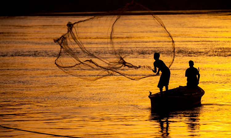 30 Indian fishermen repatriated from Sri Lanka return home: Indian High Commission