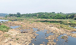 Puttur: ಪೂರ್ಣ ಪ್ರಮಾಣದಲ್ಲಿ ಬಾರದ ಮಳೆ; ನದಿ ನೀರಿನ ಮಟ್ಟ ಇಳಿಕೆ