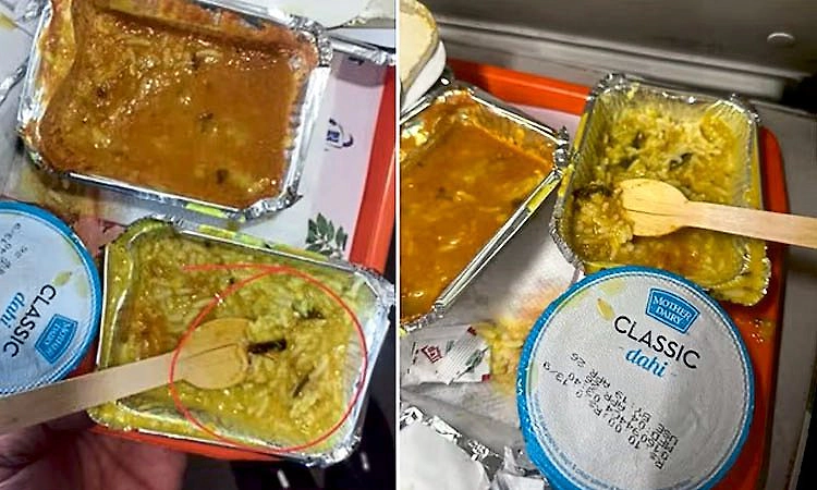 ವಂದೇ ಭಾರತ್ ರೈಲಿನ ಆಹಾರದಲ್ಲಿ ಹುಳ: ಆಹಾರ ಸರಬರಾಜು ಸಂಸ್ಥೆಗೆ ಬಿತ್ತು 10 ಲಕ್ಷ ರೂ. ದಂಡ