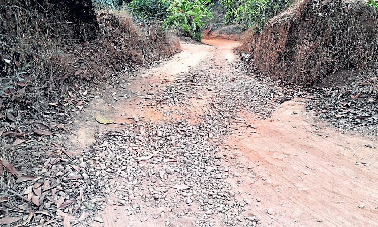 ಬೋಳಂತೂರು-ವೀರಕಂಬ-ವಿಟ್ಲಪಟ್ನೂರು ರಸ್ತೆ ಅಭಿವೃದ್ಧಿಗೆ ಬೇಡಿಕೆ