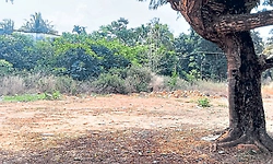 ಗುದ್ದಲಿಪೂಜೆಗೆ ವರ್ಷವಾದರೂ ನಾಡ ಪಶು ಆಸ್ಪತ್ರೆ ಕಾಮಗಾರಿ ಶುರುವಾಗಿಲ್ಲ!