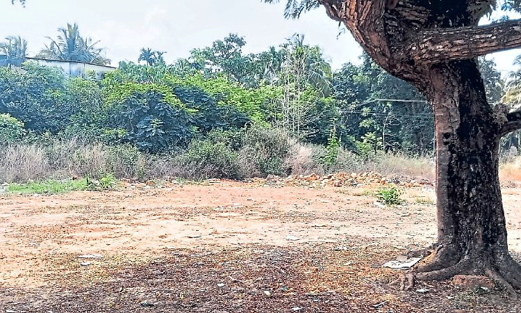 ಗುದ್ದಲಿಪೂಜೆಗೆ ವರ್ಷವಾದರೂ ನಾಡ ಪಶು ಆಸ್ಪತ್ರೆ ಕಾಮಗಾರಿ ಶುರುವಾಗಿಲ್ಲ!