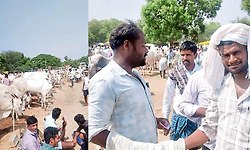 ದನದ ಸಂತೆ ಜೋರು ಕಥೆ- ವ್ಯಥೆ ಹತ್ತಾರು...